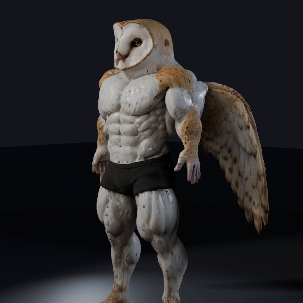 マッスルメンフクロウ / MUSCLE BARN OWL
