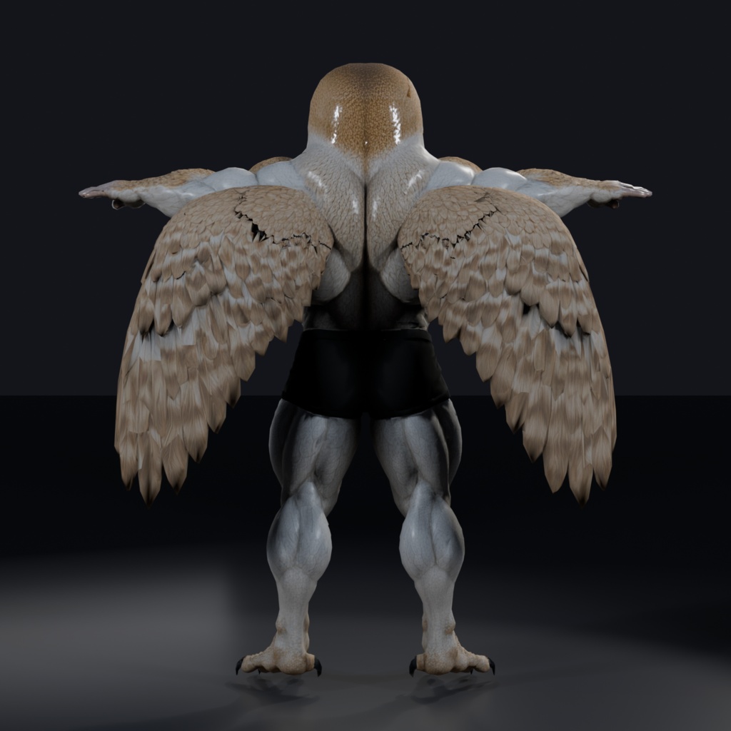 マッスルメンフクロウ / MUSCLE BARN OWL
