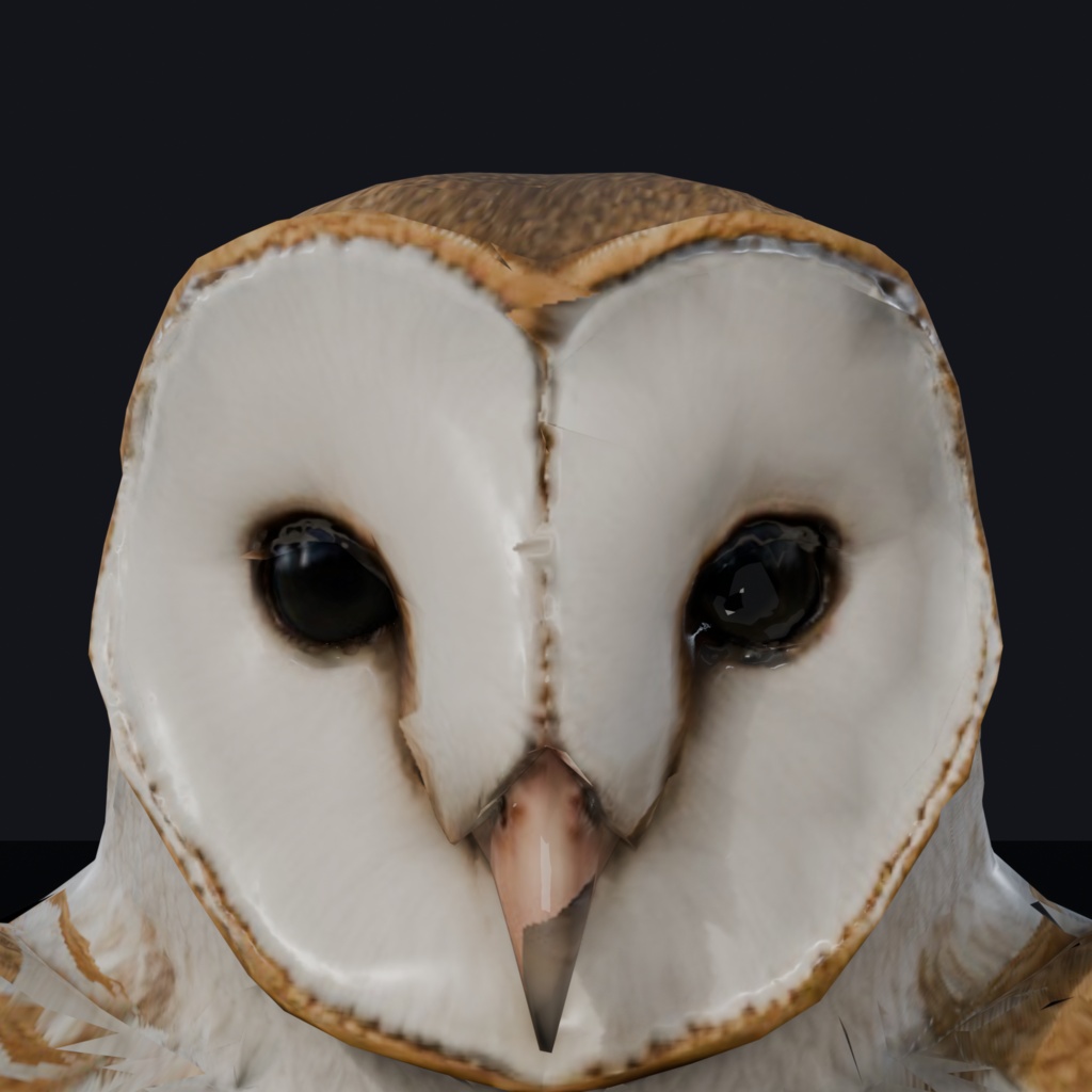 マッスルメンフクロウ / MUSCLE BARN OWL