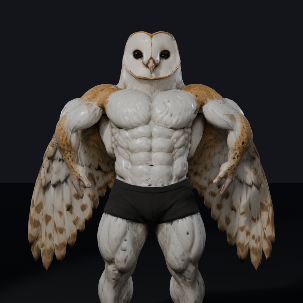 マッスルメンフクロウ / MUSCLE BARN OWL