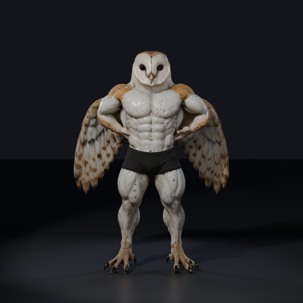 マッスルメンフクロウ / MUSCLE BARN OWL
