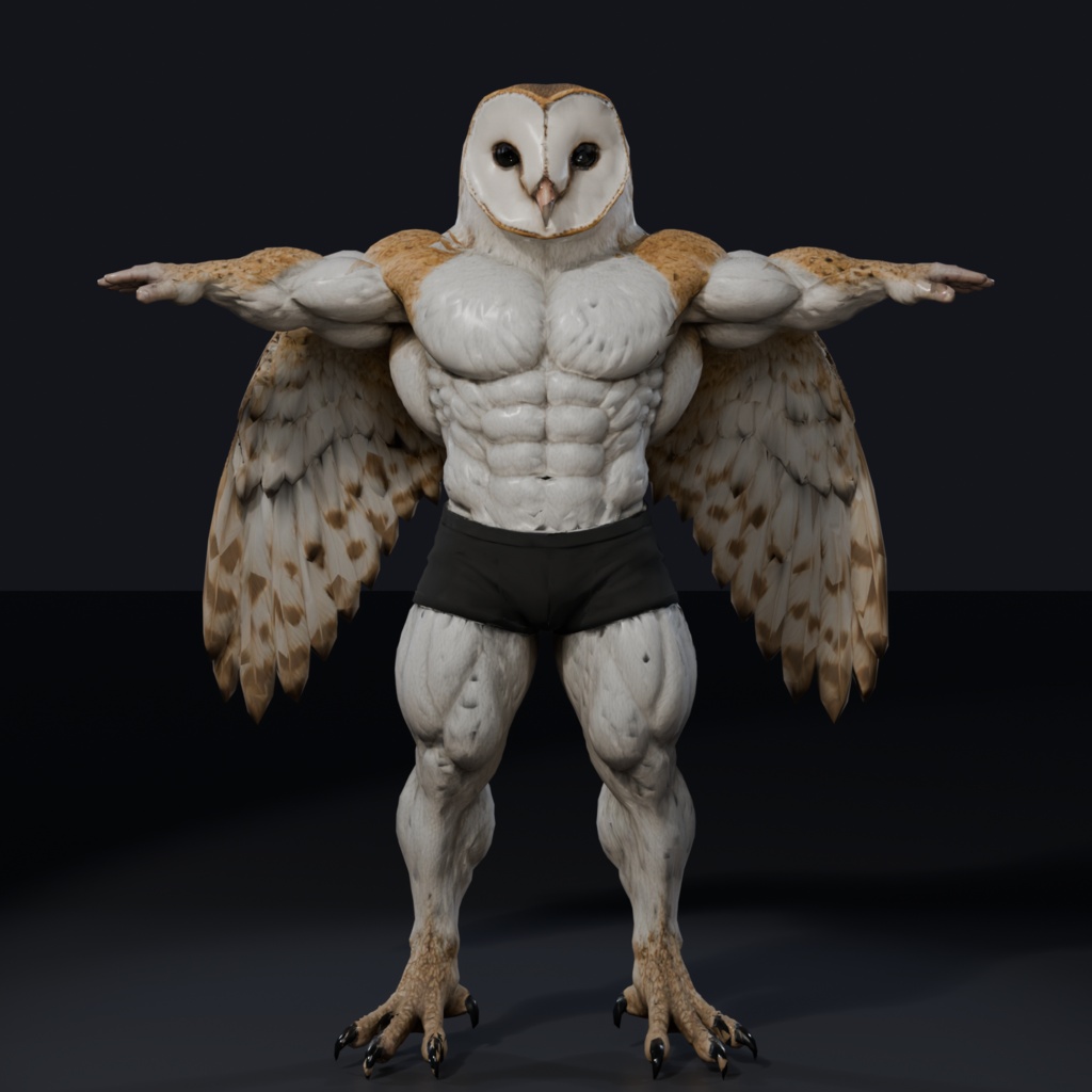 マッスルメンフクロウ / MUSCLE BARN OWL