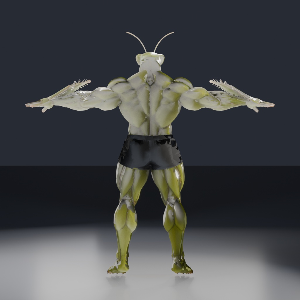 マッスルカマキリ / MUSCLE MANTIS