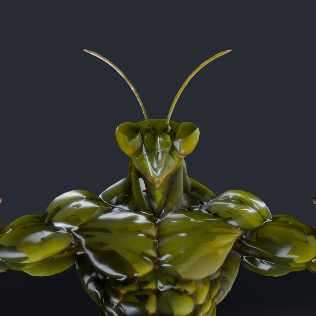 マッスルカマキリ / MUSCLE MANTIS