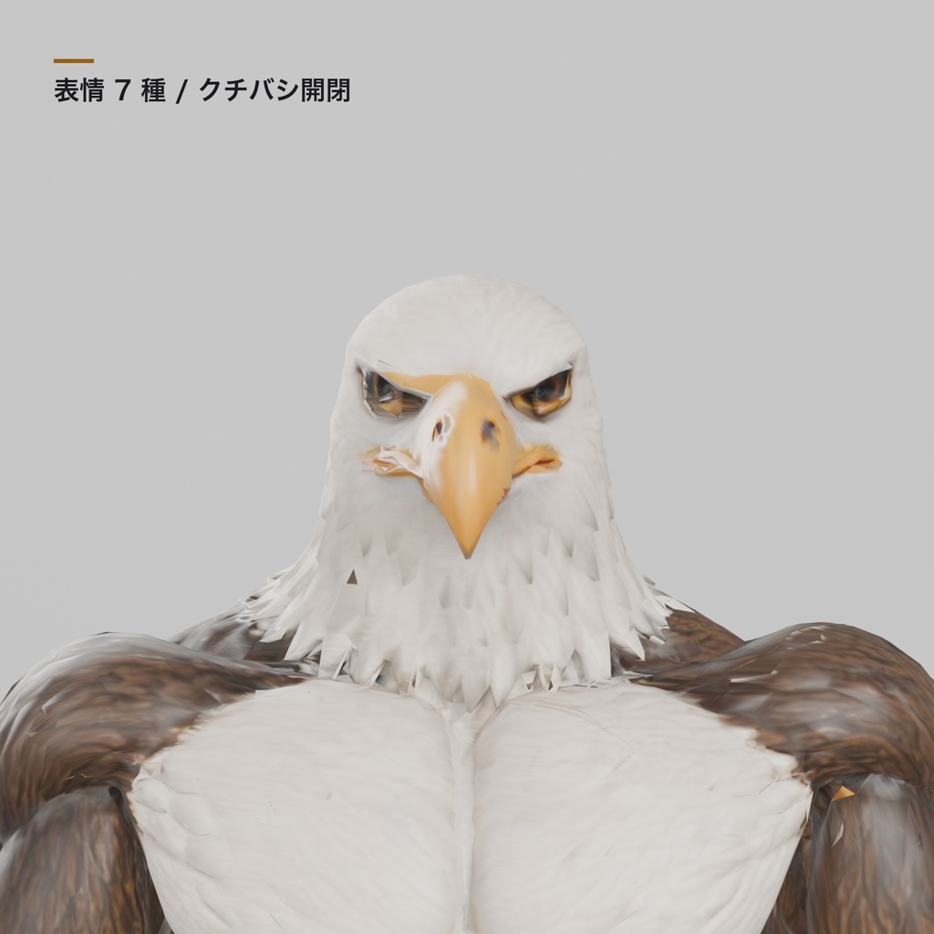 マッスルイーグル / MUSCLE EAGLE - JIMA_3D - 6/6