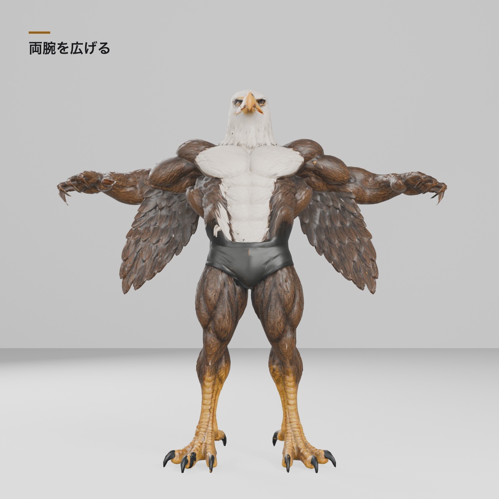 マッスルイーグル / MUSCLE EAGLE - JIMA_3D - 2/6