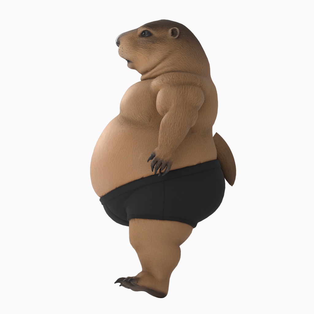 中年太りマーモット / MIDDLE-AGED MARMOT