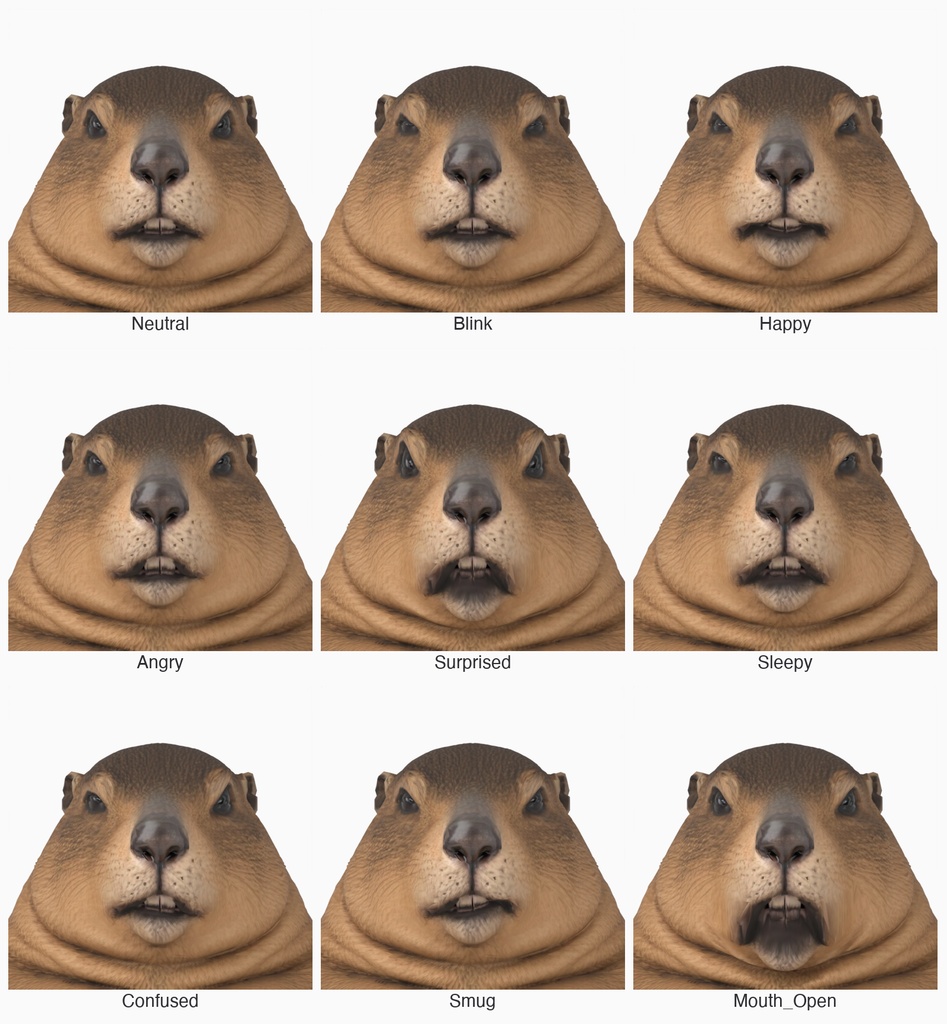 中年太りマーモット / MIDDLE-AGED MARMOT
