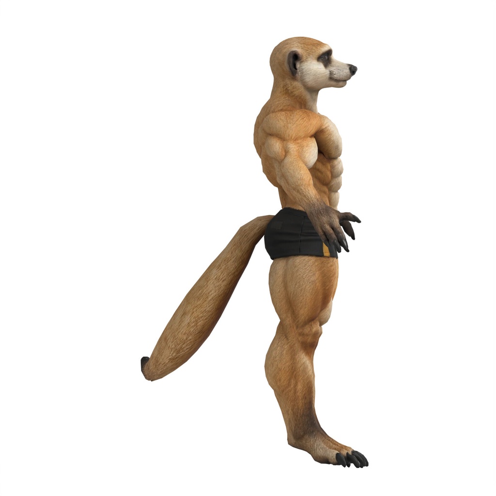 マッスルミーアキャット / MUSCLE MEERKAT
