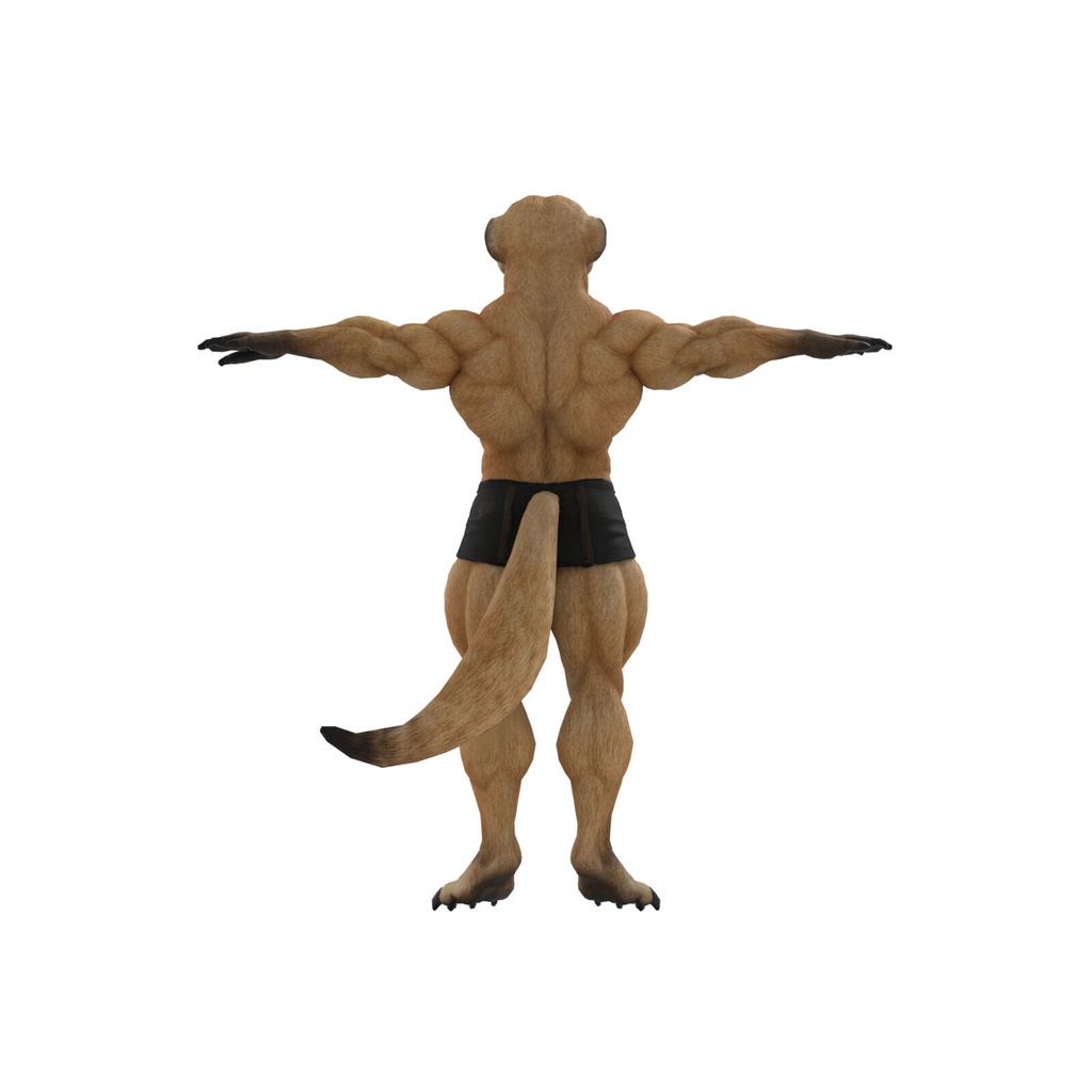 マッスルミーアキャット / MUSCLE MEERKAT
