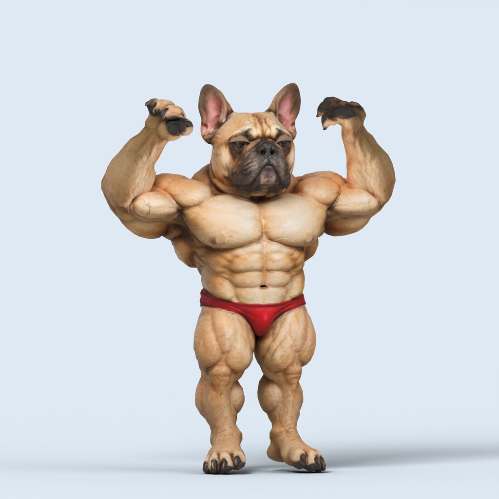 マッスルフレンチブルドッグ / MUSCLE FRENCH BULLDOG【VRM / cluster対応】