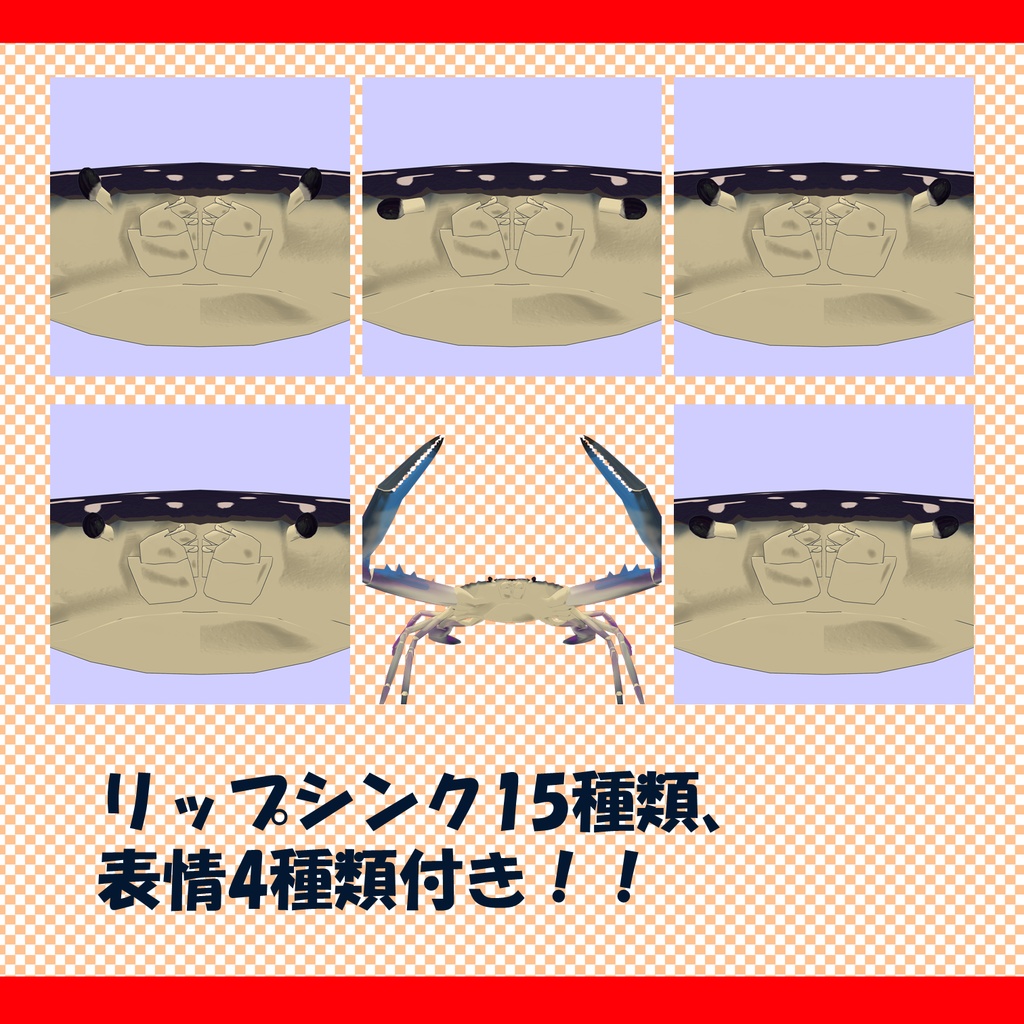 ごく普通のタイワンガザミ ~Flower crab~