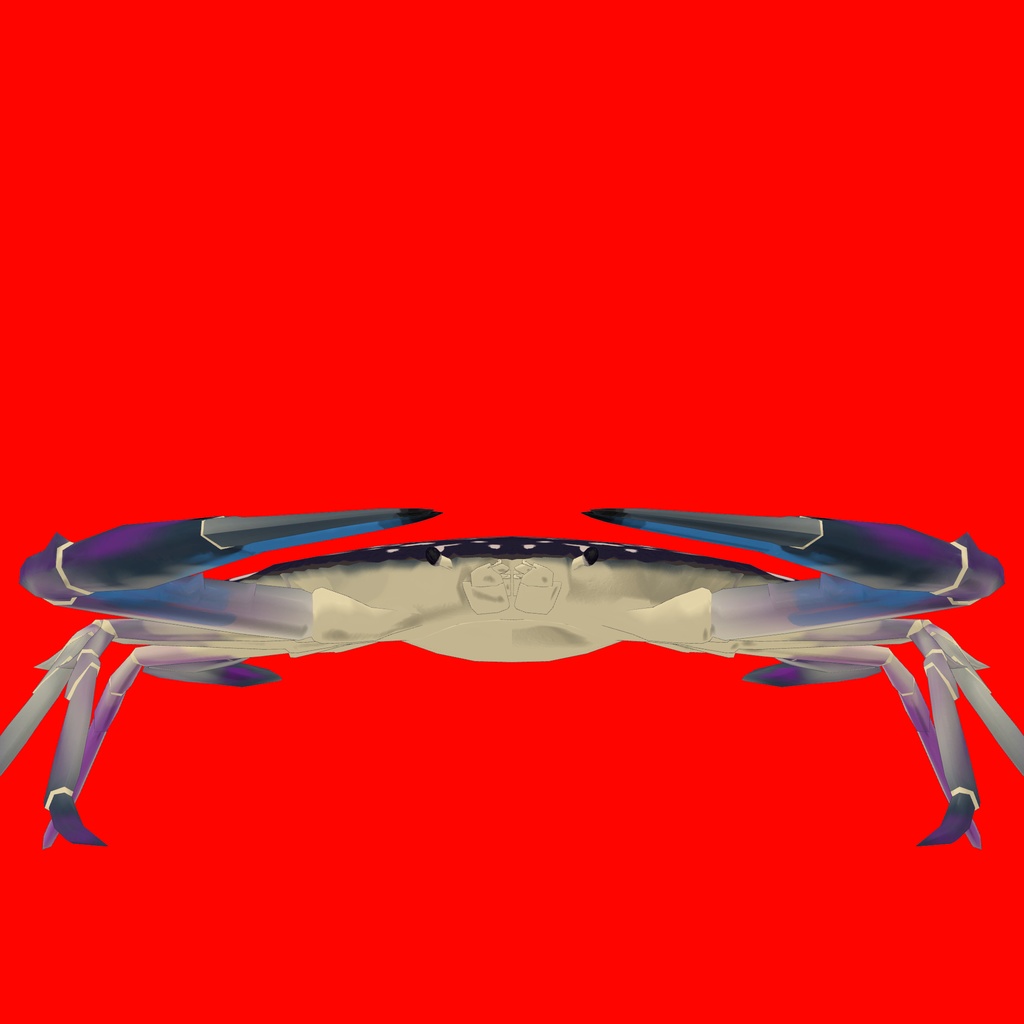 ごく普通のタイワンガザミ ~Flower crab~