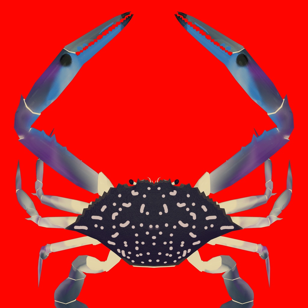 ごく普通のタイワンガザミ ~Flower crab~