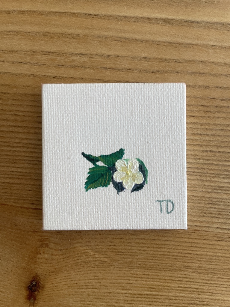 いちごの花1