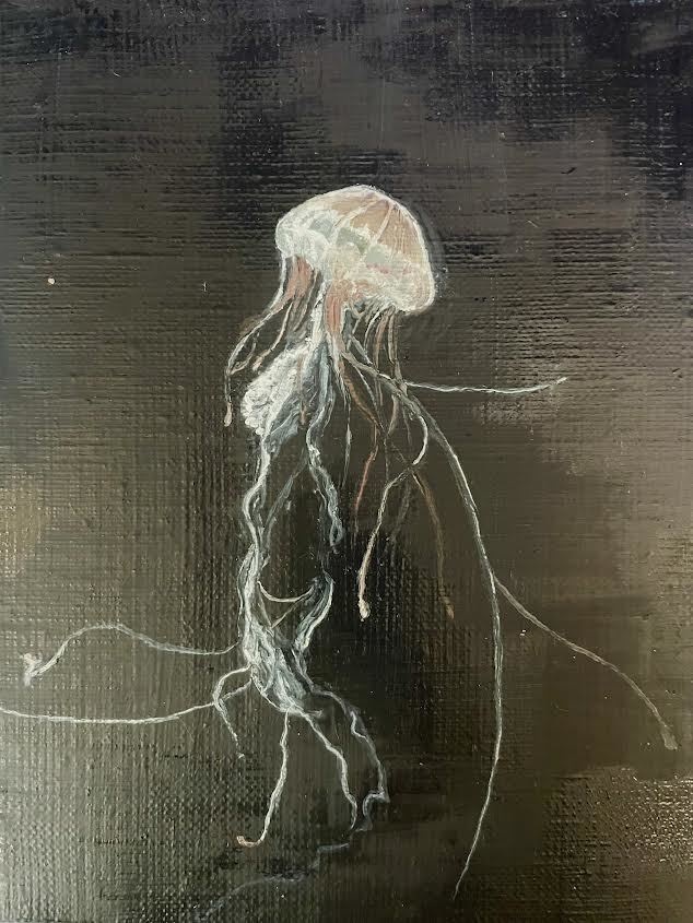 jellyfish 02