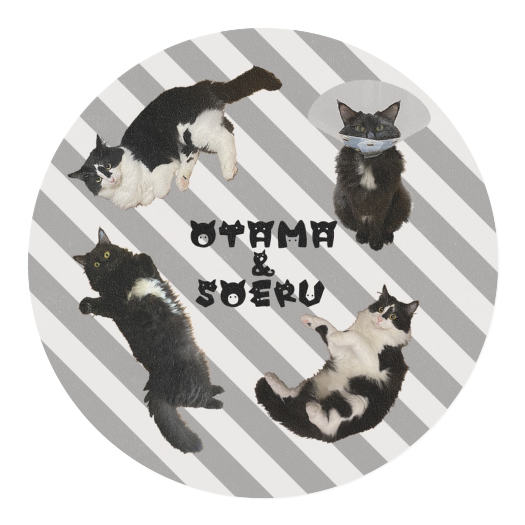 お玉とそえるマスキングテープ