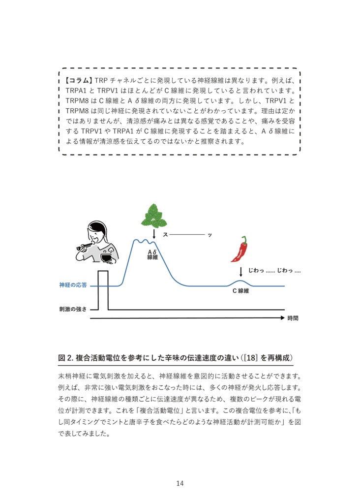 辛味礼讃 -神経生理学と認知科学の世界から-