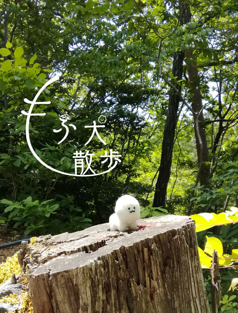 もふ犬散歩 A5サイズ24P写真集