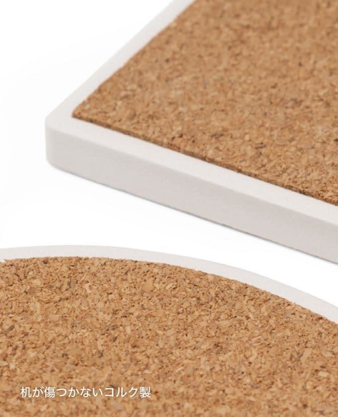 水芭蕉コースター