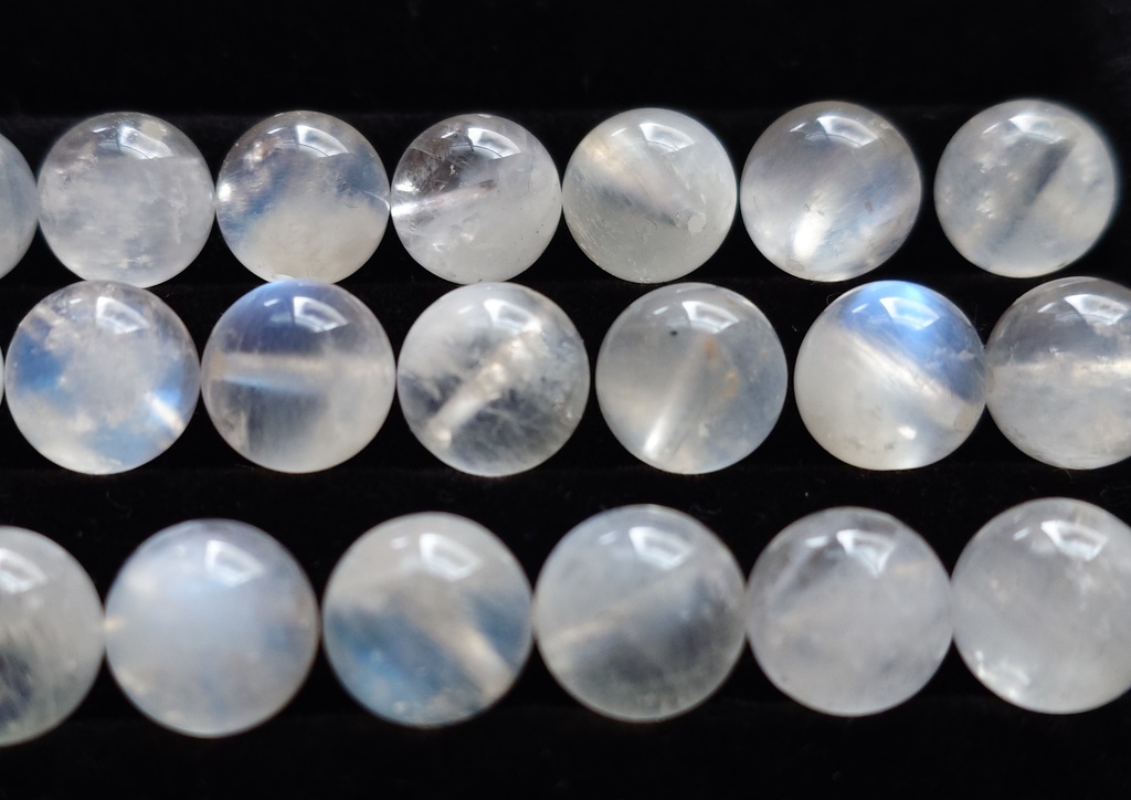 純白の花嫁(内周約15.5cm)