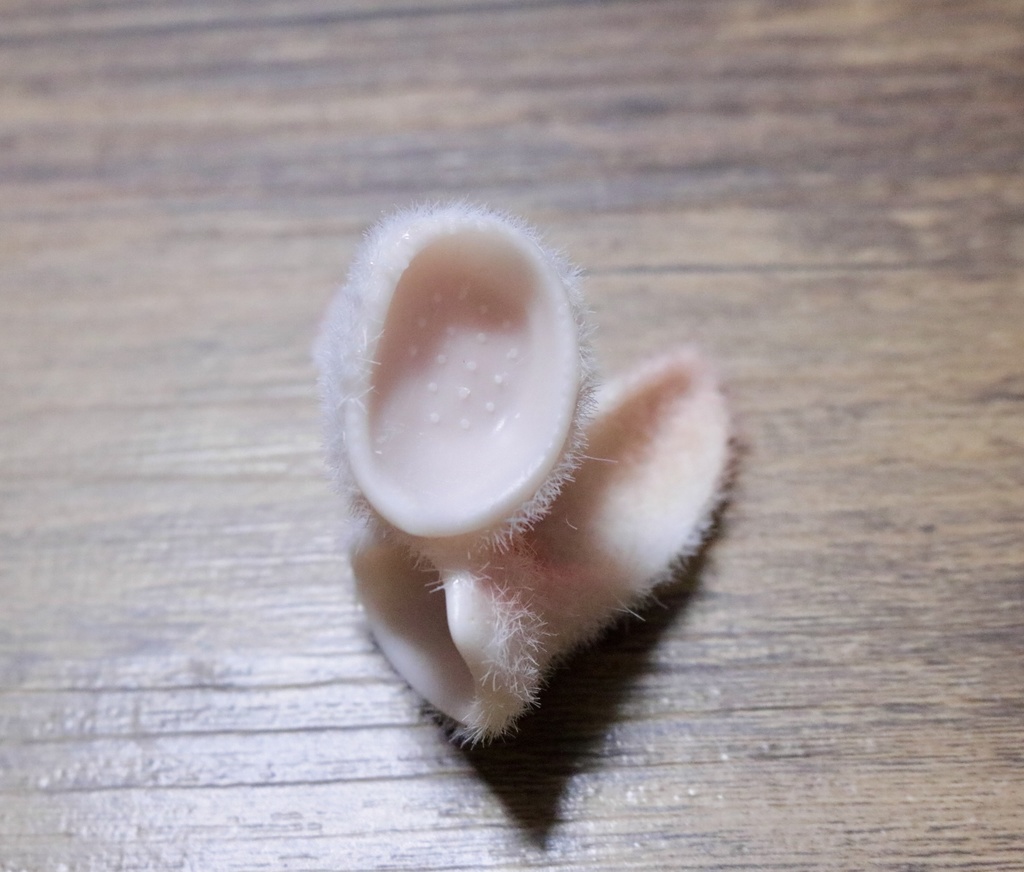 数量限定 【ケモ耳シリーズ】 1/3 DD対応 つけ耳 草食系 フロッキー加工済み