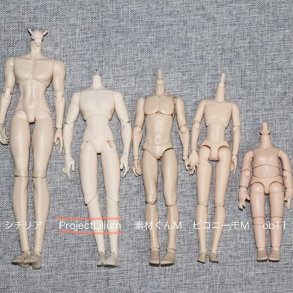 【PROJECT: LILIUM】1/12ドール ボディ素体 Frame-M (男)