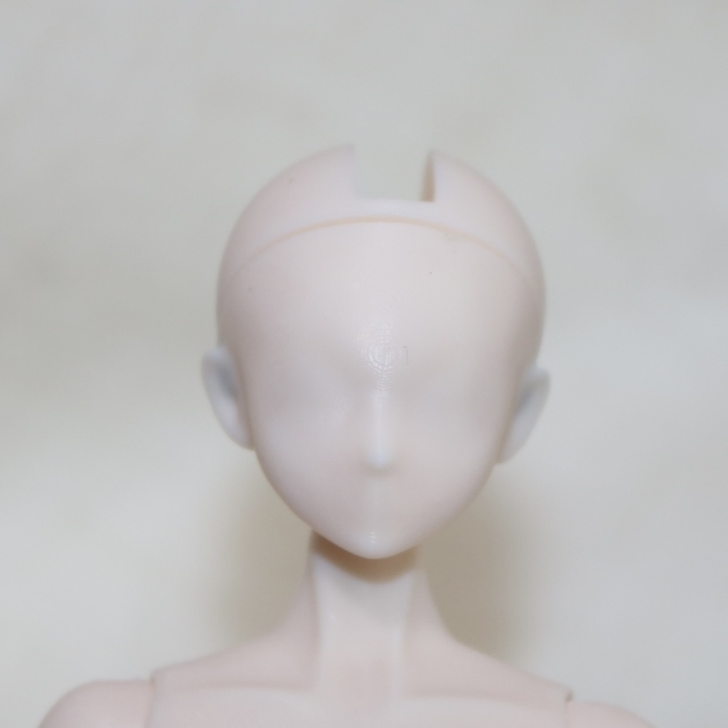 【PROJECT: LILIUM】1/12 ヘッドパーツ H00 Blank（ブランク）