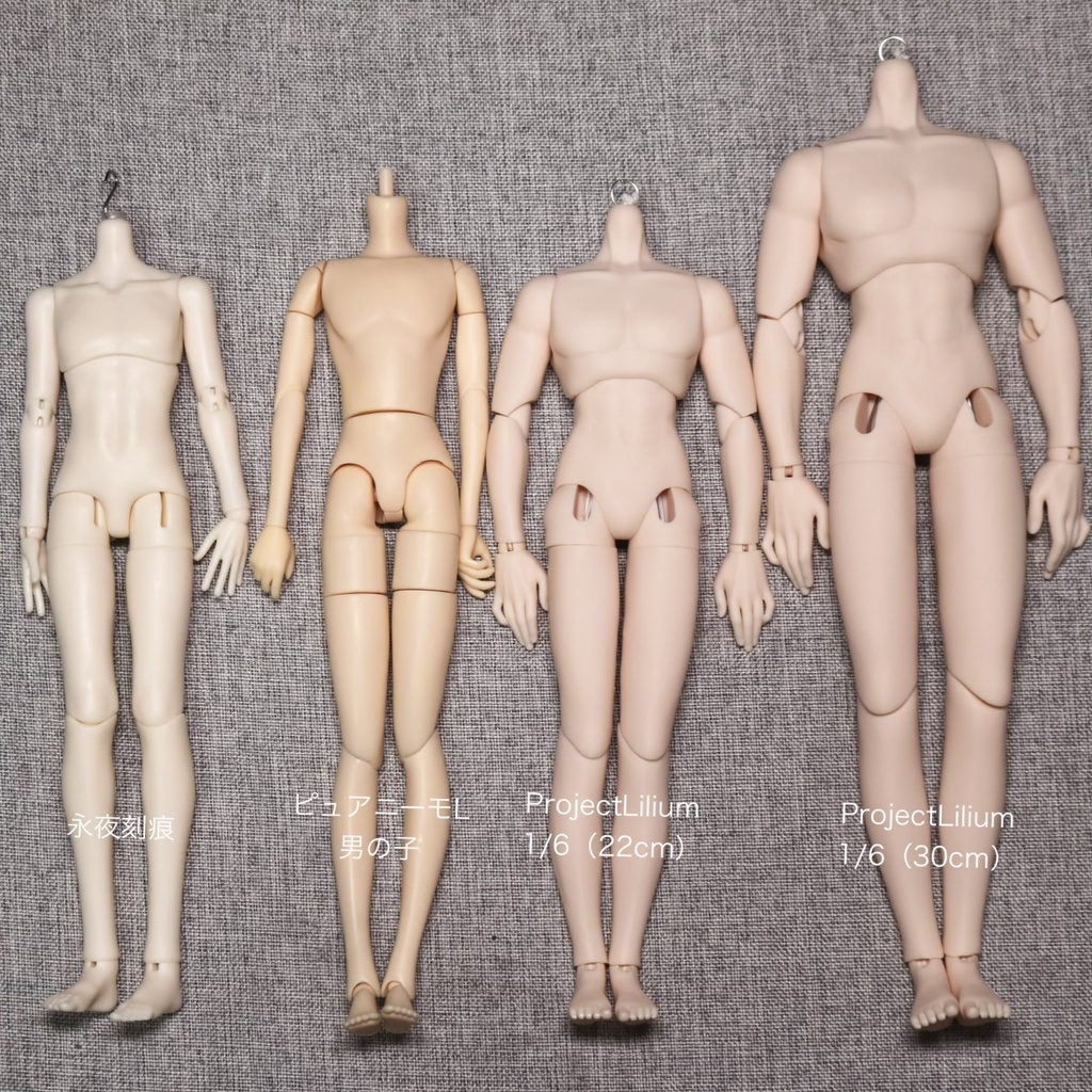 【PROJECT: LILIUM】1/6 ボディ素体《Frame-M》