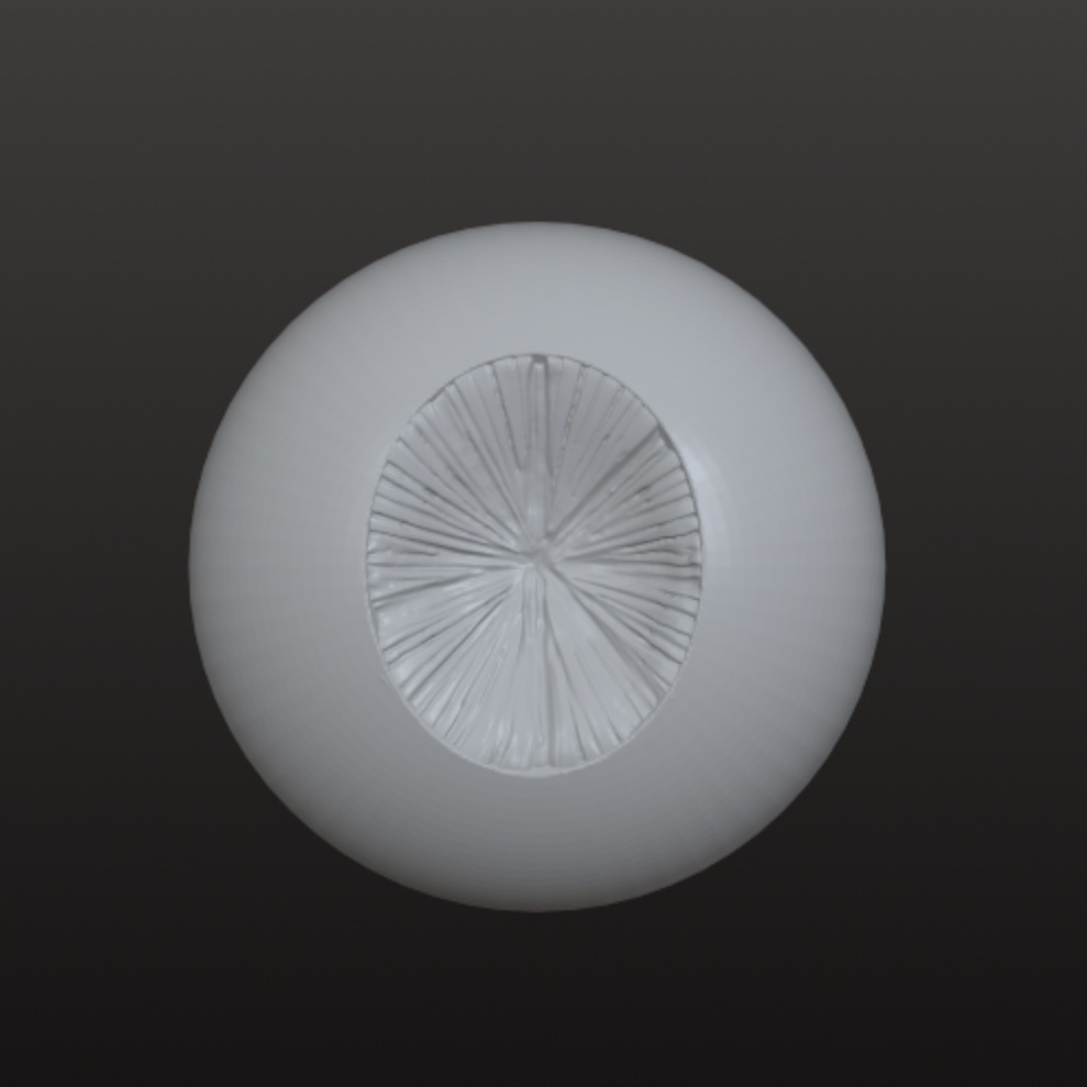 20mmアイ 虹彩9×12mm 虹彩タイプ 5ペア分