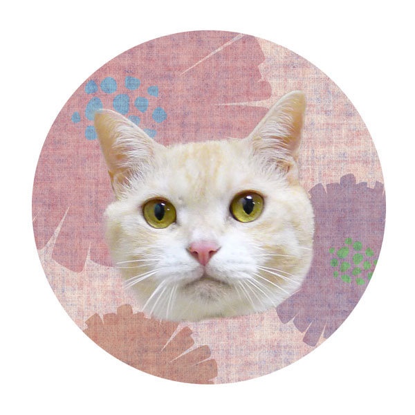 うにの秘密基地 缶ミラー(72mm)