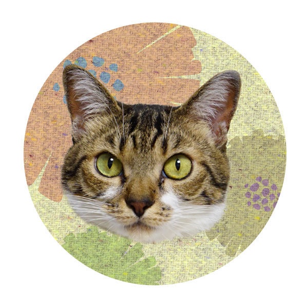 うにの秘密基地 缶ミラー(72mm)