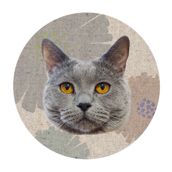 うにの秘密基地 缶ミラー(72mm)