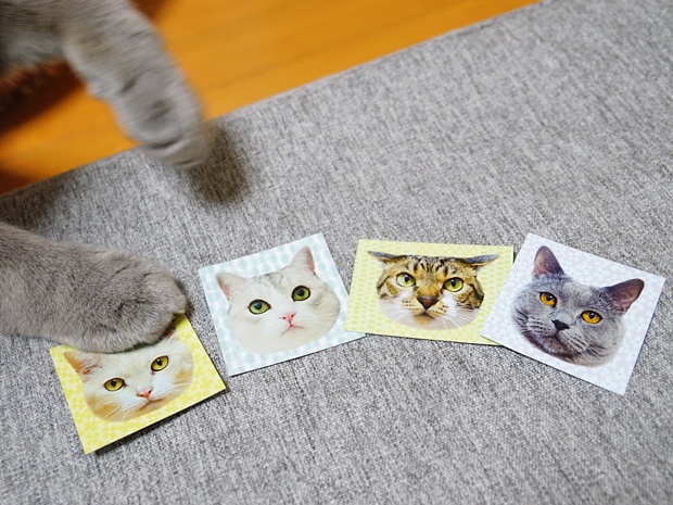 BOOSTのお礼について