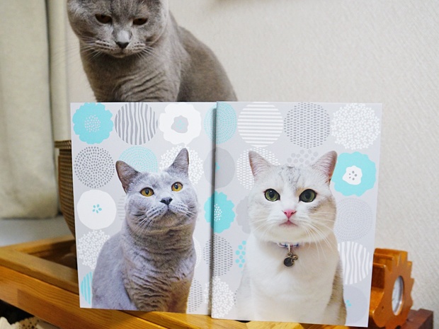 うに&ムームー A5サイズフリーノート(無地64ページ)