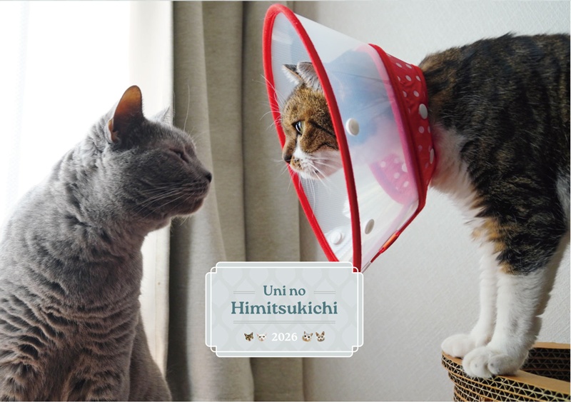 【壁掛け】2026年1月始まり　うにの秘密基地壁掛けカレンダー