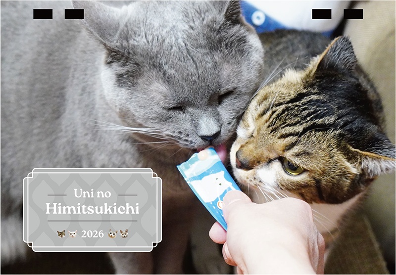 【卓上】2026年1月始まり　うにの秘密基地卓上カレンダー