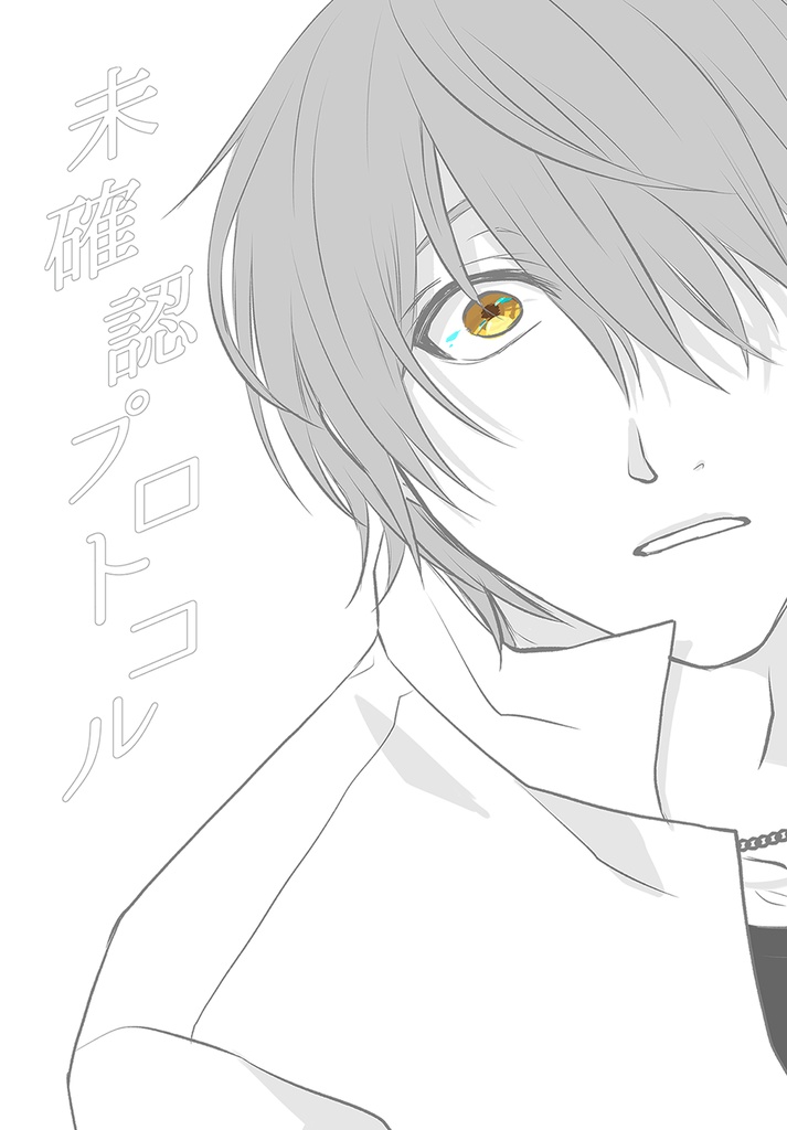 未確認プロトコル