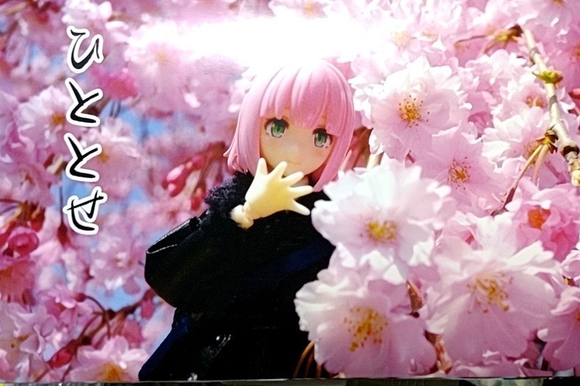 ひととせ