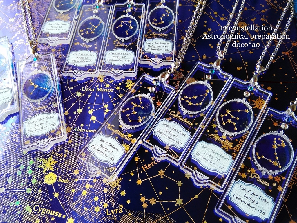 星座標本 -12星座の天体プレパラート-