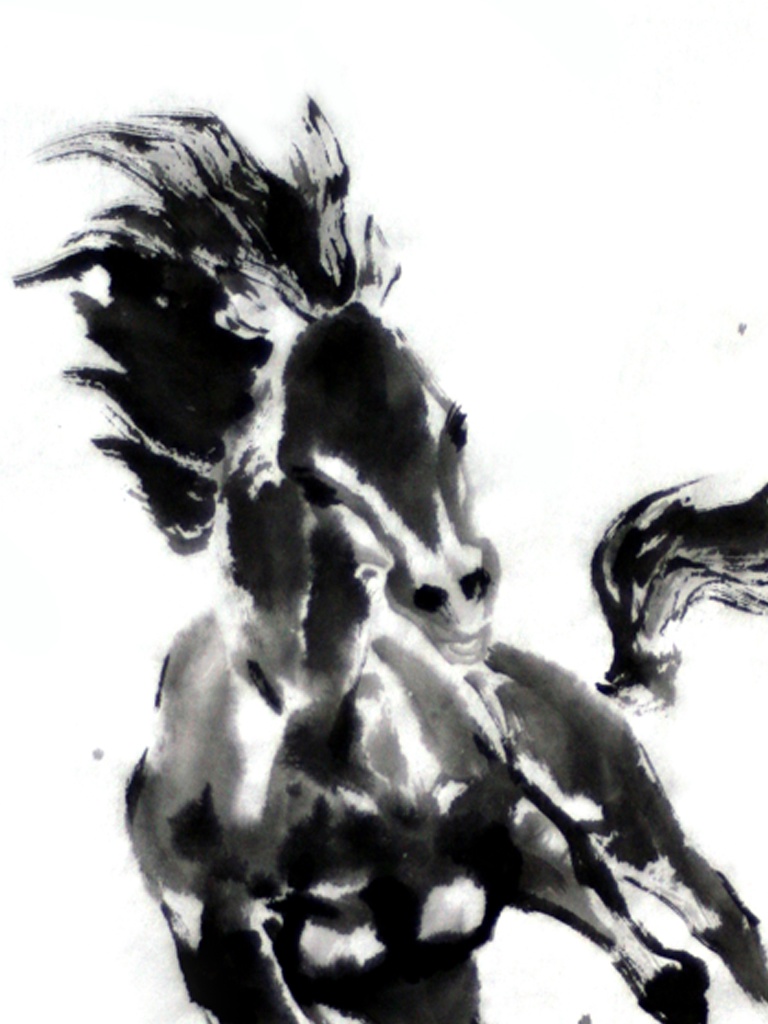 野生馬