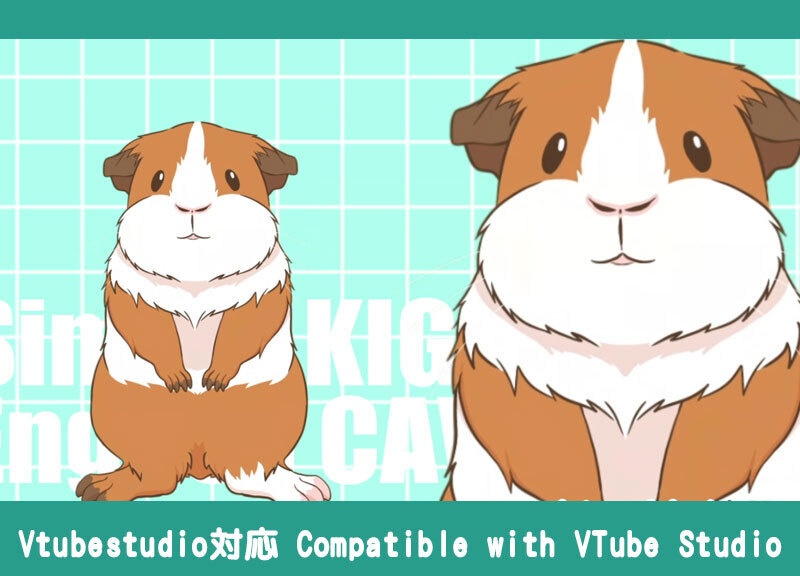 【Live2D動物モデル】着ぐるみ風モルモット：イングリッシュVTS対応汎用モデル