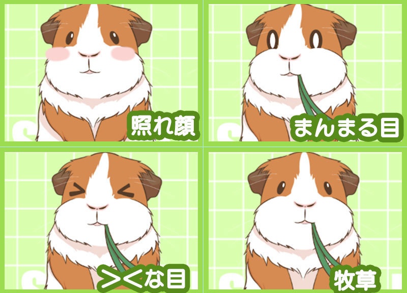 【Live2D動物モデル】着ぐるみ風モルモット:イングリッシュVTS対応汎用モデル