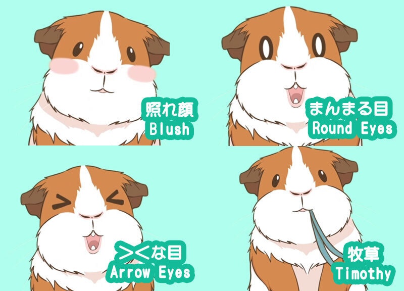 【Live2D動物モデル】着ぐるみ風モルモット:イングリッシュVTS対応汎用モデル