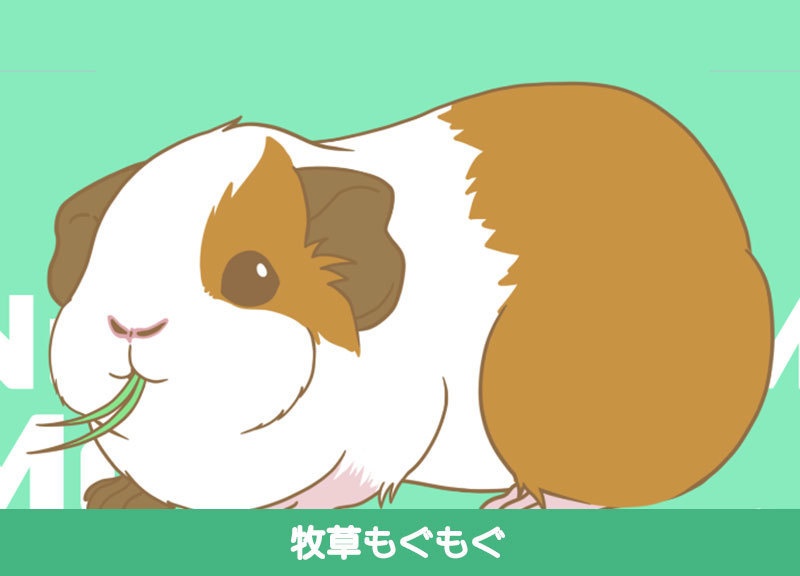 【Live2D汎用モデル】ペット(アイテム)にもなる!ぬいぐるみ風モルモットモデル