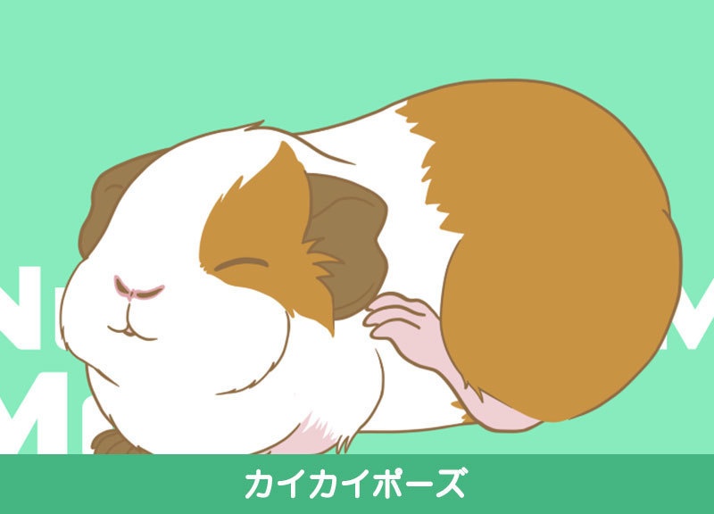 【Live2D汎用モデル】ペット(アイテム)にもなる!ぬいぐるみ風モルモットモデル