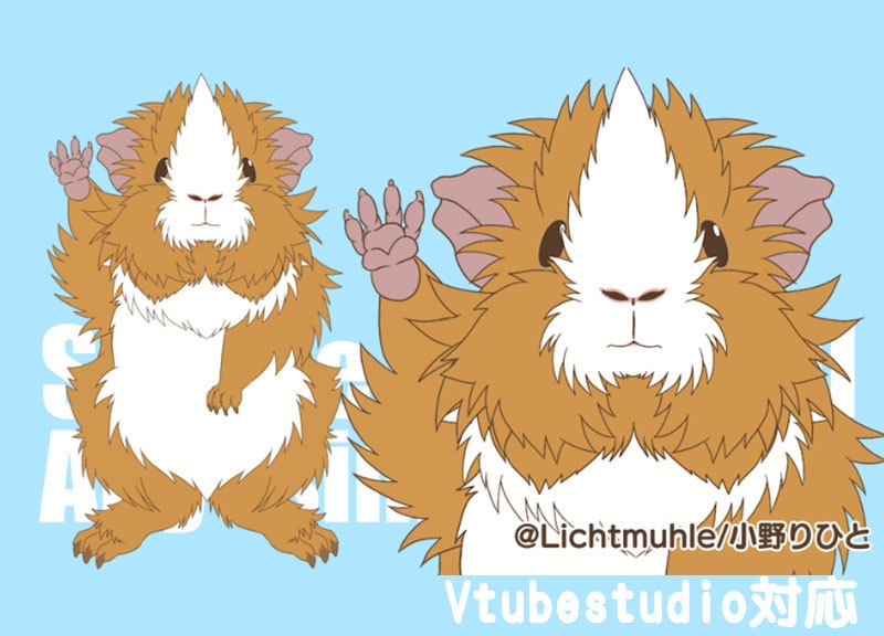 【Live2D動物モデル】着ぐるみ風モルモット：アビシニアンVTS対応汎用モデル