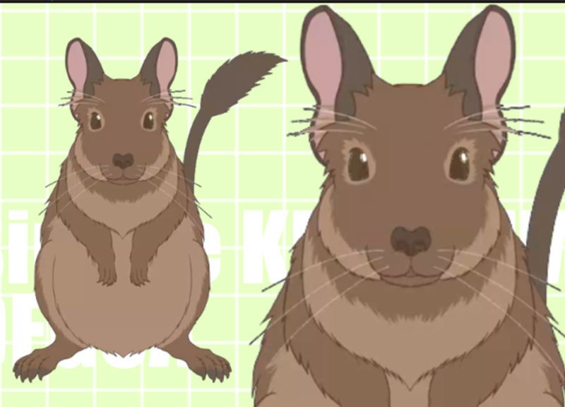 【VTS対応】シンプル着ぐるみ風デグー