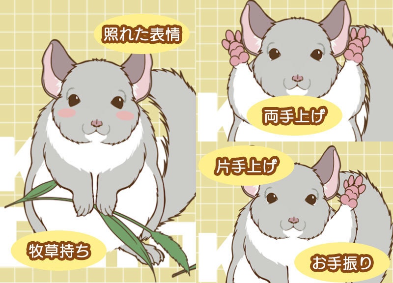 シンプル着ぐるみ風チンチラ【VTS対応】