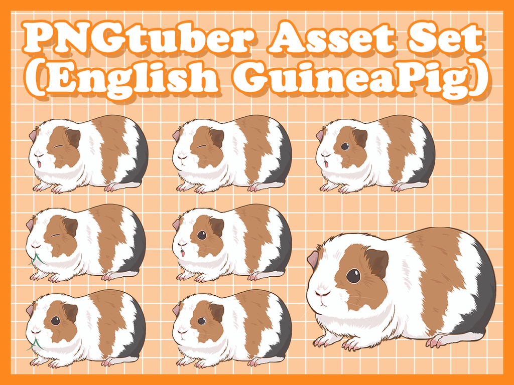PNGtuber Asset Set  (English GuineaPig)
